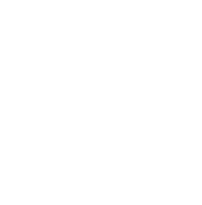 University of Massachusetts logo