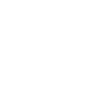 bp-logo-white